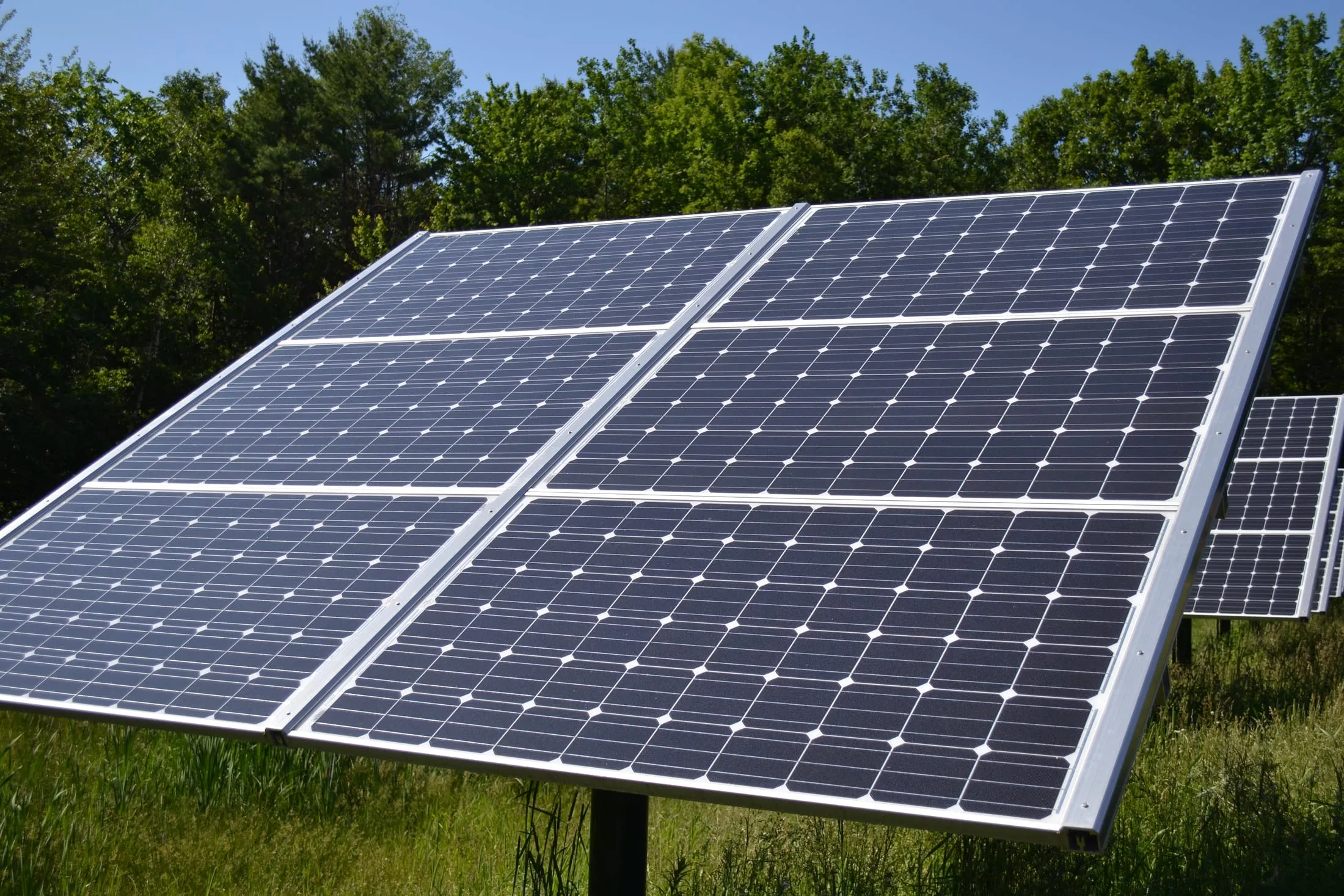 Ground-mounted solar panels angled toward the sun in an open clearing.